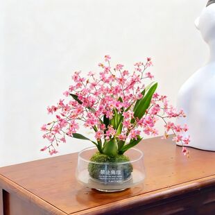 �໨����ɫ�����m̦�\�����Ԏ������҃ȿ͏d�k���ҾGֲ���ܺ��B