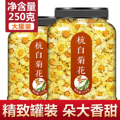 菊花茶白菊杭桐郷杭菊公式旗艦店一斤に大輪を入れて火に行きます。