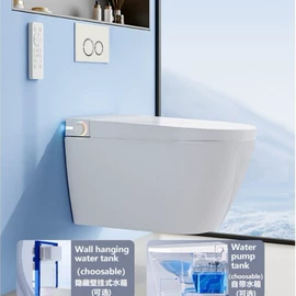 马桶水箱;蹲便器;普通马桶