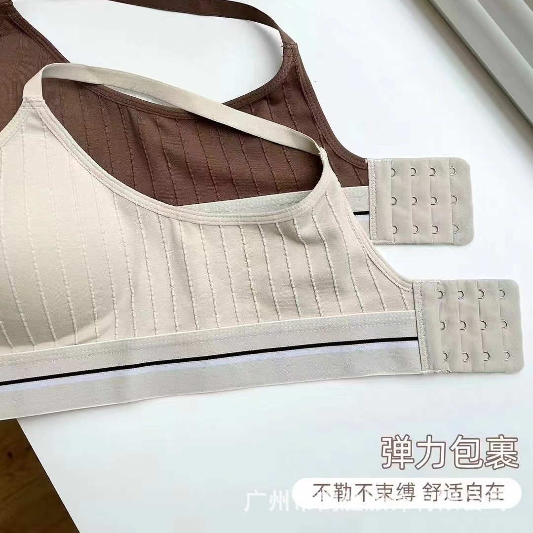 Venta directa de fábrica Comercio electrónico transfronterizo Sudeste de Asia Vietnam Tailandia Ladies Sin costuras Deportes Cómodo Recolección lateral sujetador