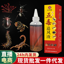 透骨液五毒追风液颈肩腰腿跑江湖膝盖关节涂抹五毒液批发自发热