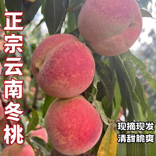 ��S��ϴ�������9�����r���ë�ґ����ЋD���rˮ����ɽ���ӬFժ