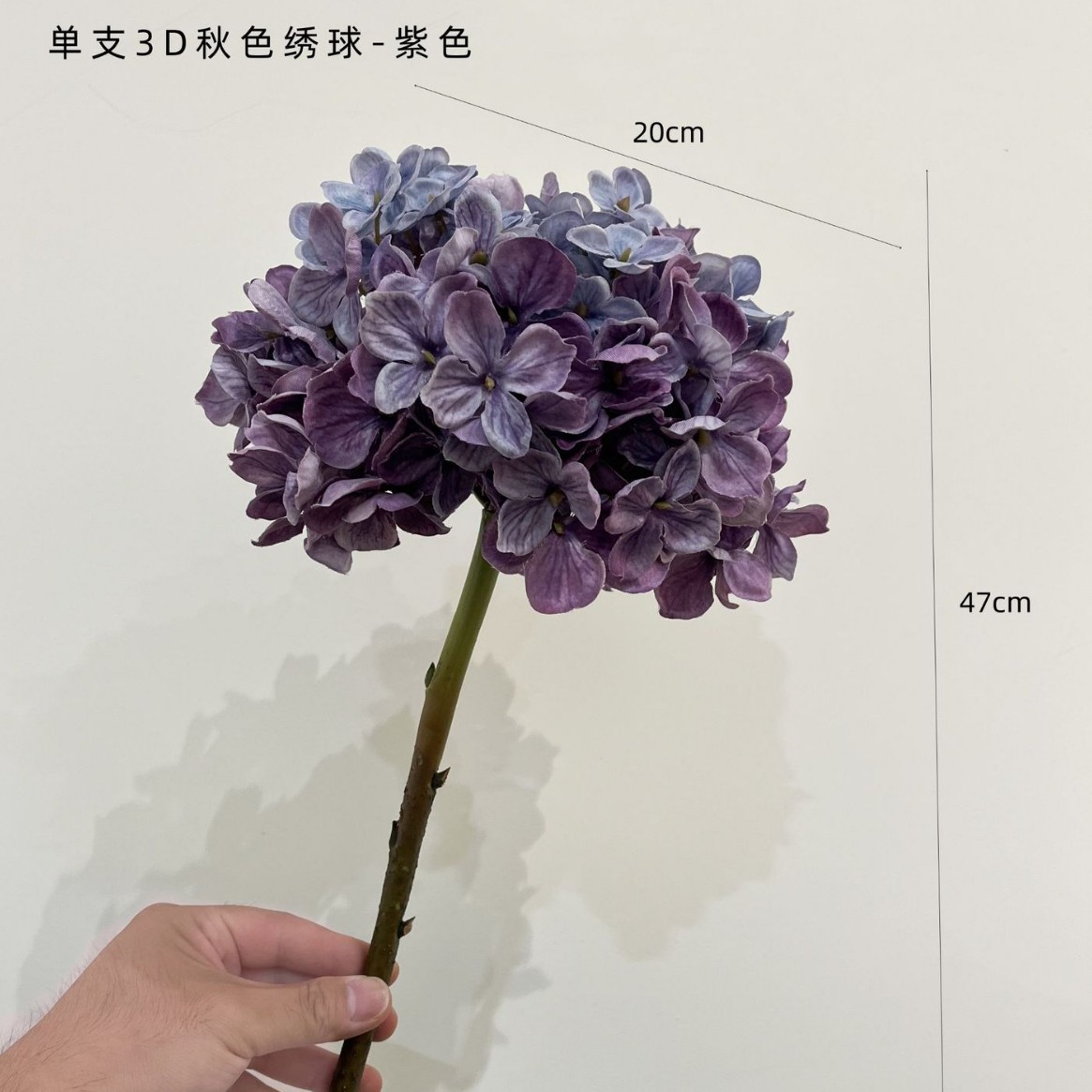 보라색