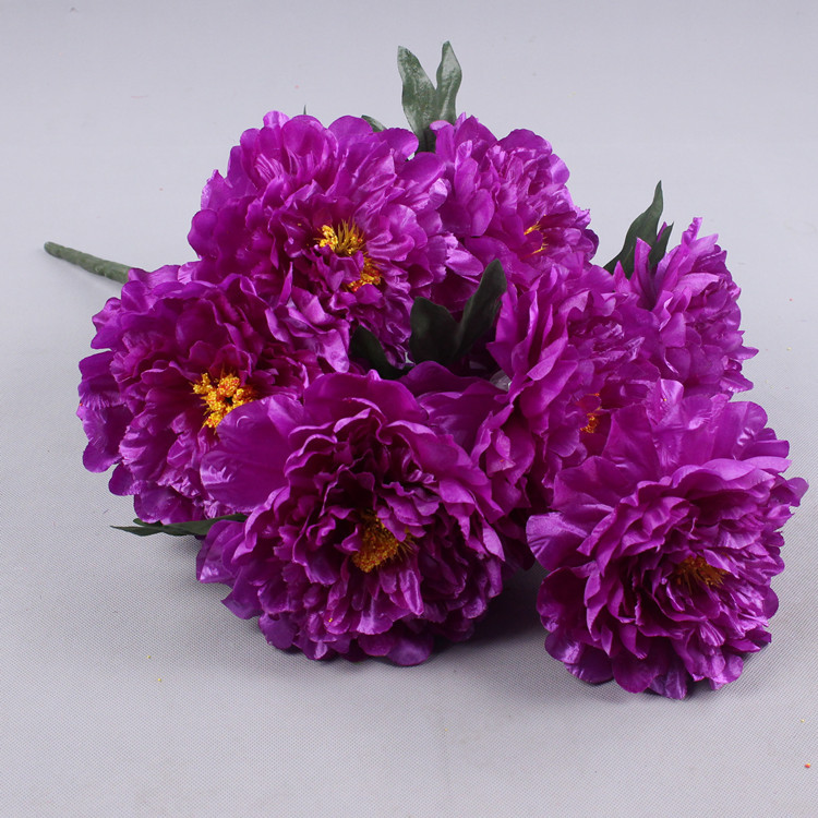 9 rich peony (purple) (purple)
