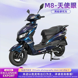 其他摩托车;其他电动车;两轮摩托车