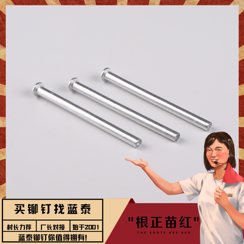 电机铆钉 定子铆钉 转子铆钉 汽车电机铆钉 电动车电机铆钉