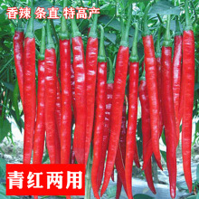 tlNӸ߮aNѷNཷGlɽϷﴺļ