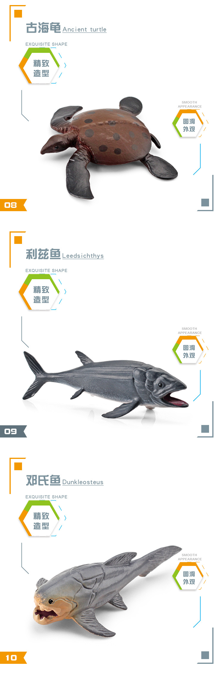 图层 5.jpg