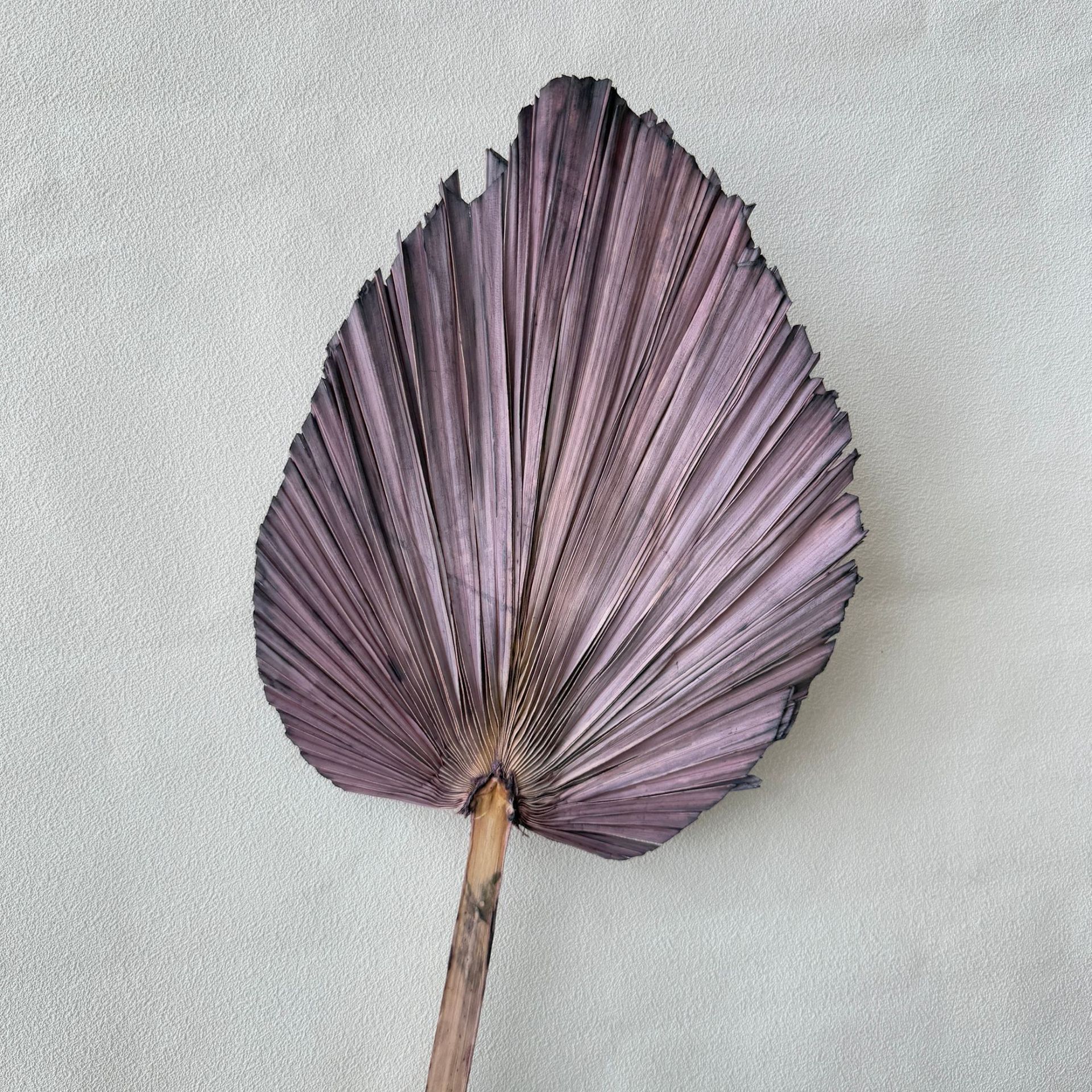 미디엄 트림 퍼플