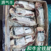 和牛牛腱子乌拉圭12厂B腱卤料店家庭牛腱子肉冻品金钱腱商用整箱