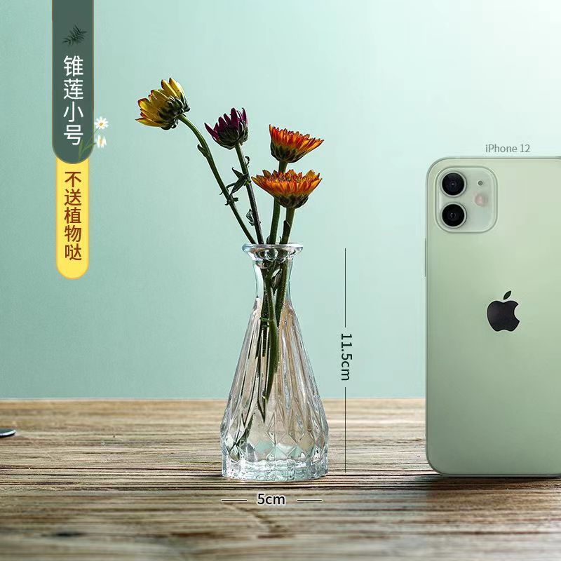 Florero de vidrio retro al por mayor de celebridades netas ins arreglos florales adornos florales florales florero de vidrio nórdico hidropónico de bambú rico