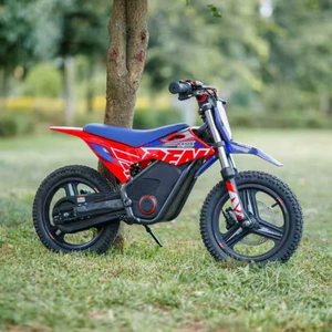 Apollo Warrior İki Təkərli Off-Road Elektrikli Motosiklet, Uşaqlar üçün Elektrikli Nəqliyyat