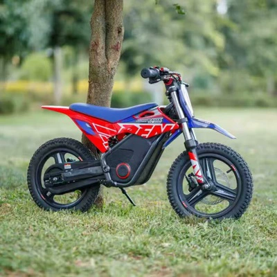 Apollo Warrior Two-Wheeled Off-Road Electric Motorcycle Rfn, Electric Vehicle for Teenagers and Children, Parent-Child Outing, Birthday Gift (Elektrikli motosikletlər)