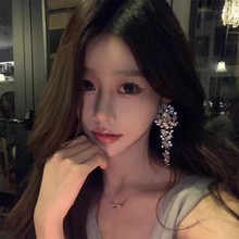 辣妹皓石大气夸张高级感舞会晚宴耳环女气质女神范韩国网红耳饰品