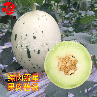 �G�����Ǻ�Ƥ��ϷN��������ǹ���̾G��֭ζ�������¶�طNֲ