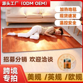 电热毯/垫;暖脚器;水暖毯