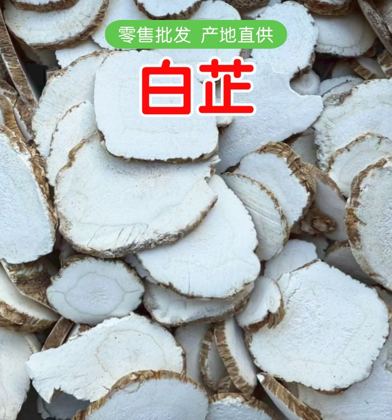 Dried Bai Zhi Slices and Powder Angelica Dahurica Root for Herbal Decoction and Culinary Use 500g overview