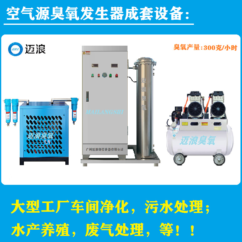 迈浪300g500g克臭氧发生器泳池水处理水产养殖食品厂制药车间净化