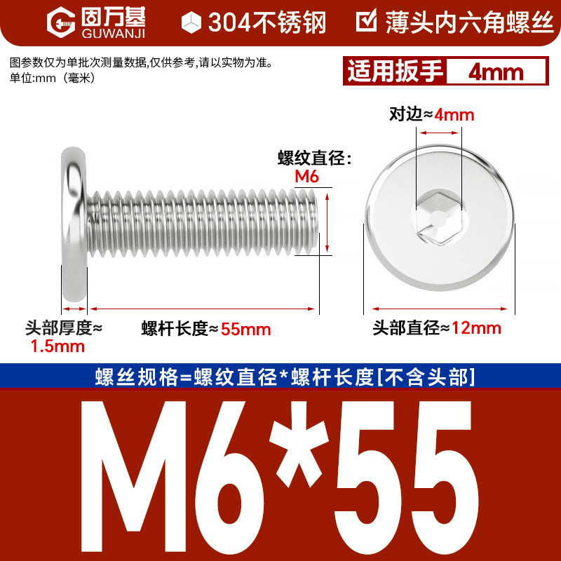 304 M6*55