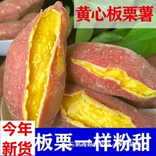 �¿����p�������S�İ��������r�ع�ɳ�ؼt�����l����ɽ�����Ŵ��