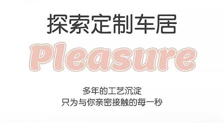 Special Seat Cushion and Seat Cover for Faw Besturn Pony, Besturn Pony New Energy Seat Cushion, Trendy Car Cushion, Universal for All Seasons