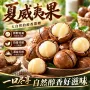 奶香味22mm-25mm大颗粒开果器炒货