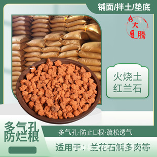 �S�����l�t�mʯ��������w�������m��ֲ�϶�׷���������쾰����