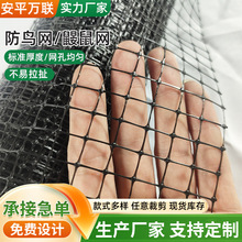 池塘果园尼龙防鸟网果蔬家用葡萄网户外蔬菜防虫防蚊大棚防鸟网3m