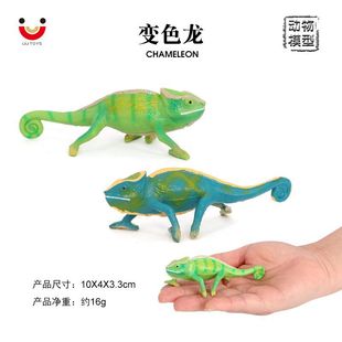 ���挍�����Є��� ׃ɫ�� ģ�������������zģ�̓�ͯ�J֪��ߔ[��