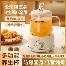 迷你养生壶小型办公室一人多功能烧水花茶壶养生杯电炖杯公司礼品