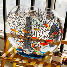 辦公室魚缸超白小型扁形桌面客廳觀賞橢圓形水造景創意熱帶魚