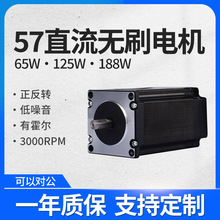 57BLFֱoˢ늙C3000DDC24V͉{лR_SҬF؛