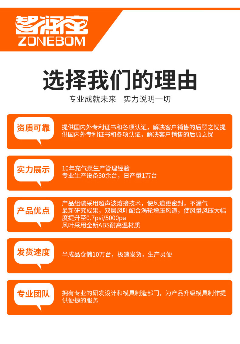 便携电动家用充气泵快速小型充气抽气电泵车载电动泵110V~240V详情18