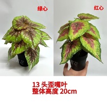 仿真歪嘴叶绿植创意办公室桌面盆栽家居装饰热销高仿真