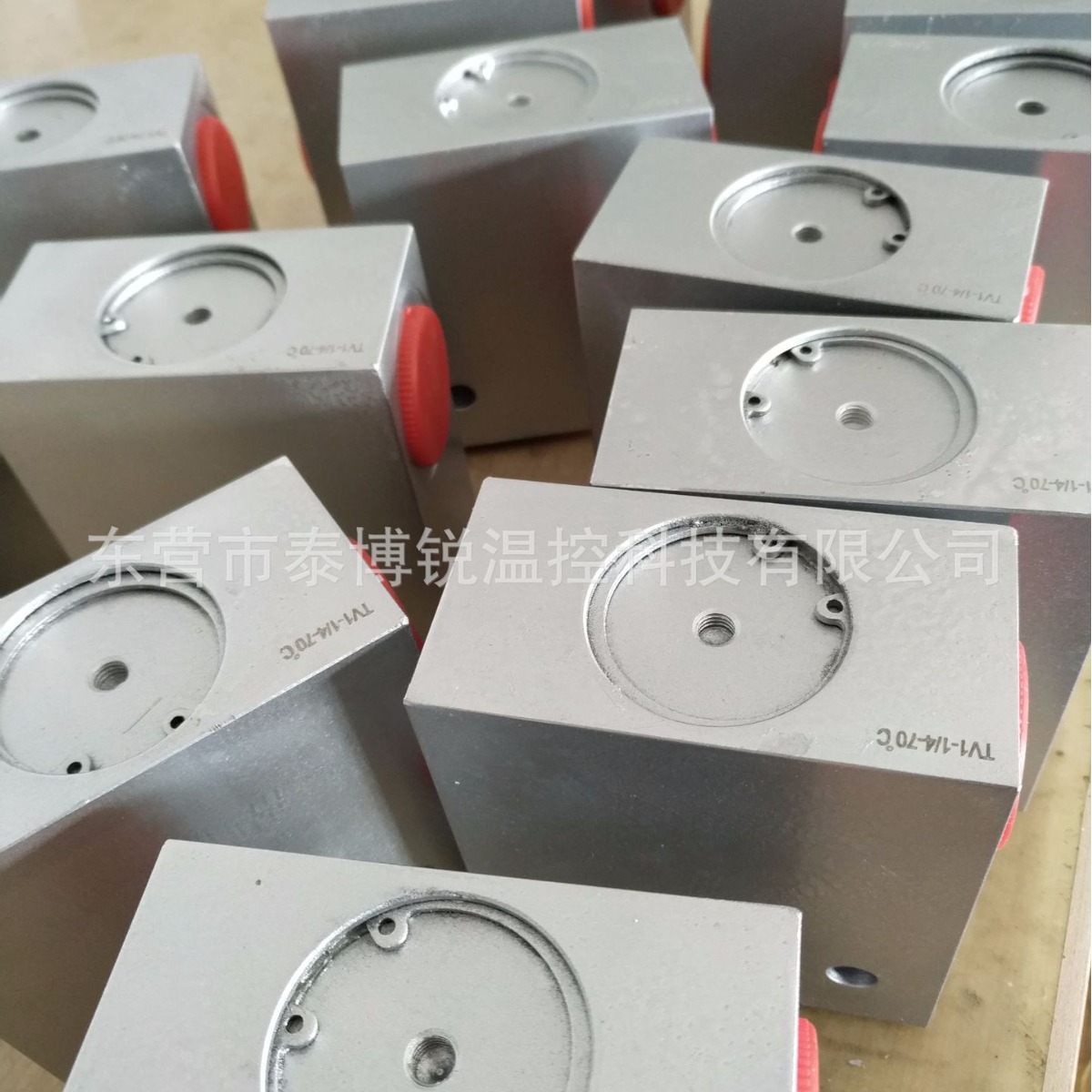 Taibri温控阀芯 温控传感器