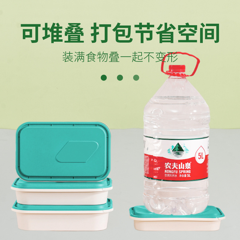 一次性餐盒长方形加厚防盗锁扣外卖打包盒可印刷防漏快餐便当盒|undefined