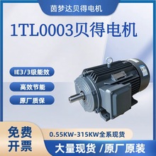 T_ؐ늙C1TL0003ϵ IE3Ч4Oஐ늙C