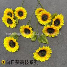 ��֦���տ�̫ꖻ����滨�羳��̸߿��������Ĕz�b��ߏS��ֱ�N