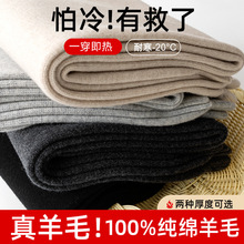 100%羊毛裤秋冬女士修身无缝薄款羊毛裤男士羊绒保暖裤针织棉毛裤