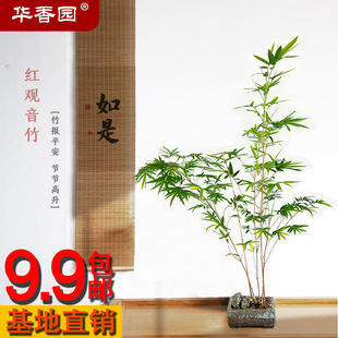 �t�^�����������������T��С���Ծ��زĕ���ͥԺ�̨���҃ȾGֲ