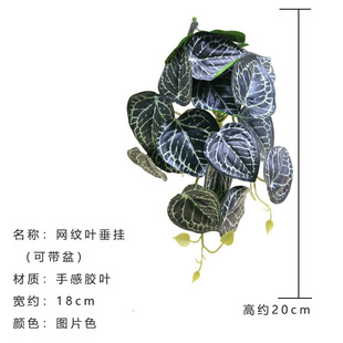 ����ֲ�����ϻ��پW�y�~�����҃ȾGֲ���ٲݒ�ڲ廨�b��̨