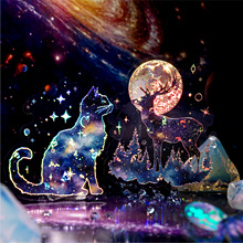 İī����PET�N���� �ǿ����� ����ٴ��ز����~����diy�b����N