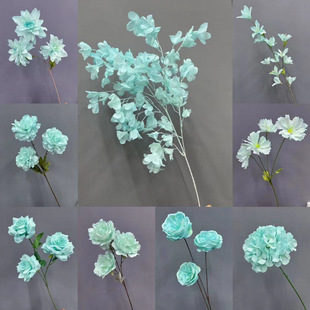 ��ܽ���{���滨�\�{ɫ���{ɫ���{ɫ�ٻ�������ѩ�{ɫõ�彑��ĵ��