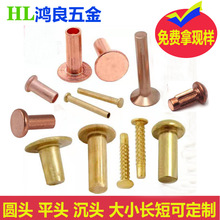 �i���~�T�������ӌ���S�~�T� �܏�1-6�iоƽ�^�����T�