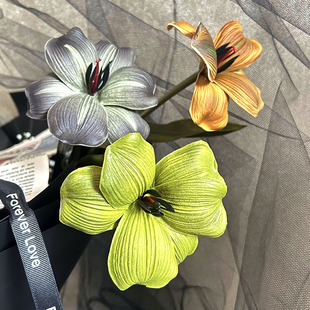 ������ɫϵС�tɫ�W�tPU�͹��������c�Ƶ������b��߷��滨��