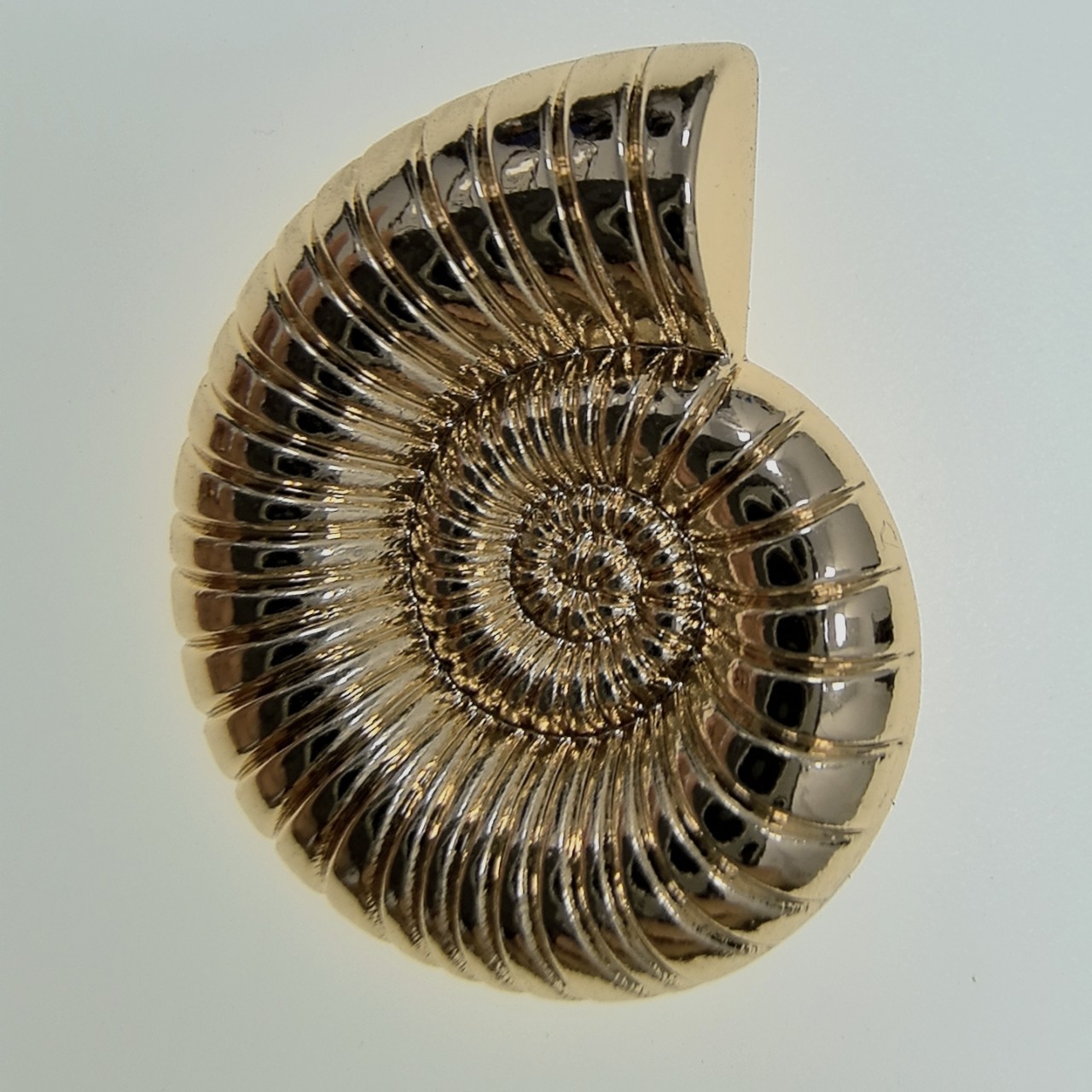 合金海螺形纽扣 泳装贝壳金属手缝扣 海洋风时装大衣装饰大扣