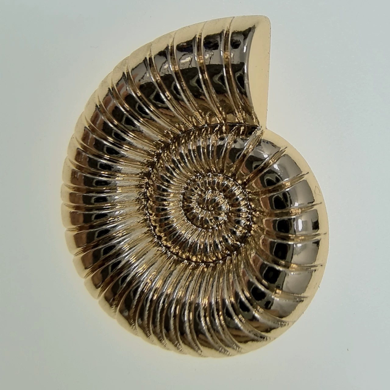 Кнопки из сплава в форме ракушки, металлические ручные пуговицы для купальников, декоративные большие пуговицы в стиле океана для модных пальто.