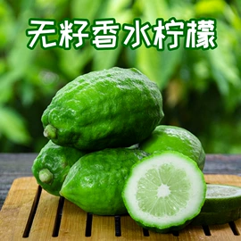 代用/养生茶;乌龙茶;再加工茶