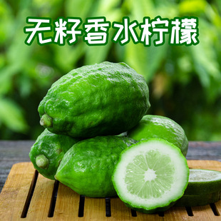 �V�|�����̲�ꌣ��һ�����o�����r�Fժ�������lƤ������マ�|