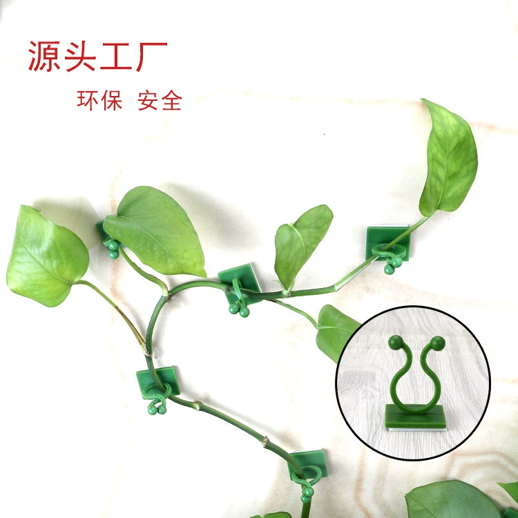 Фиксатор Green Rose Зеленое растение Лоза без проколов Паста Фиксированная Пряжка Провод Линия передачи данных Фиксированная Заводская розетка
